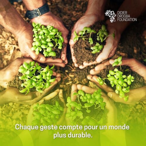 Développement Durable