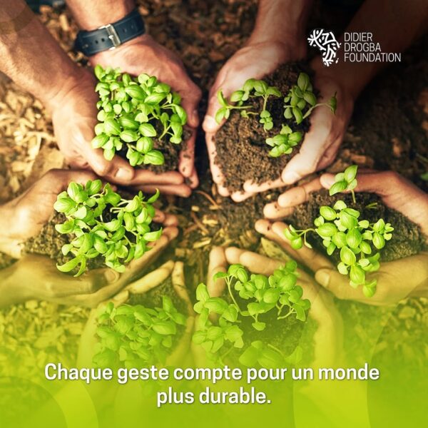 Développement Durable